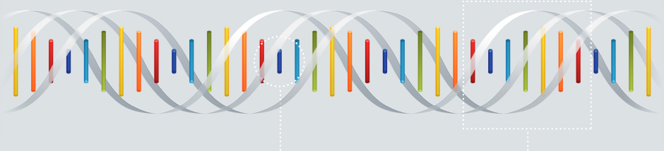 Our DNA — Our Client's DNA